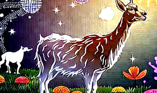 Zoomex và cuộc chơi hợp đồng vĩnh cửu cổ phiếu: Khi những pixel lợi nhuận che mờ thực tại